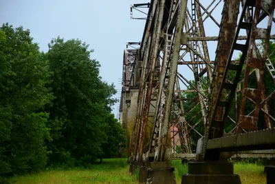 DSC_2206 (Large).JPG